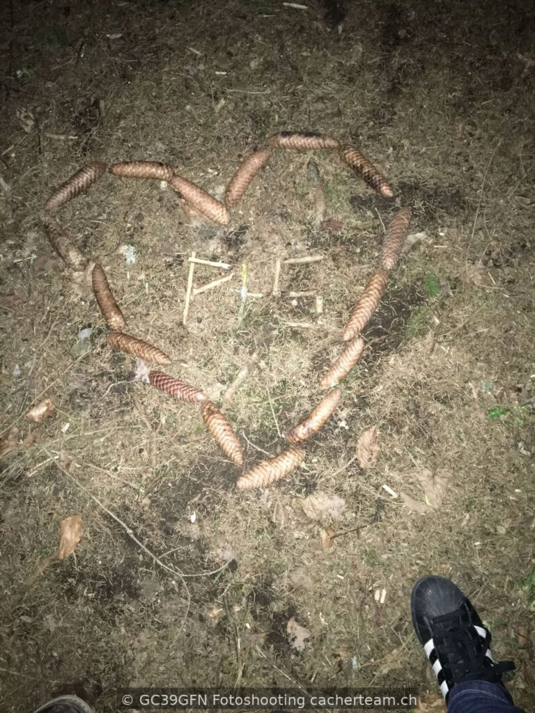TheWolfsTeam