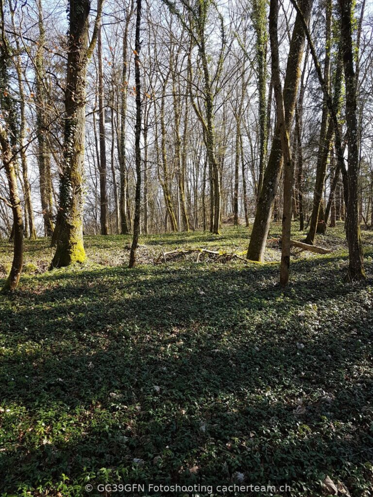 Brenzo – Frühling
